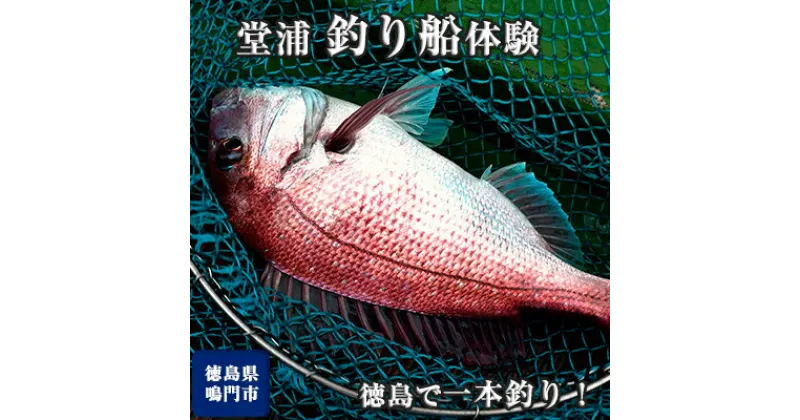 【ふるさと納税】徳島で一本釣り！【堂浦 釣り船 体験】徳島県 鳴門 一本釣 テグス発祥の地 海