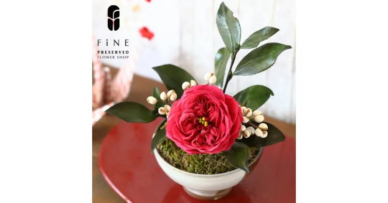 【ふるさと納税】 プリザーブドフラワー 花椿 ＜Fine＞ ｜花 ギフト プレゼント アレンジ おしゃれ 母の日 誕生日 結婚祝い 退職祝い お祝い