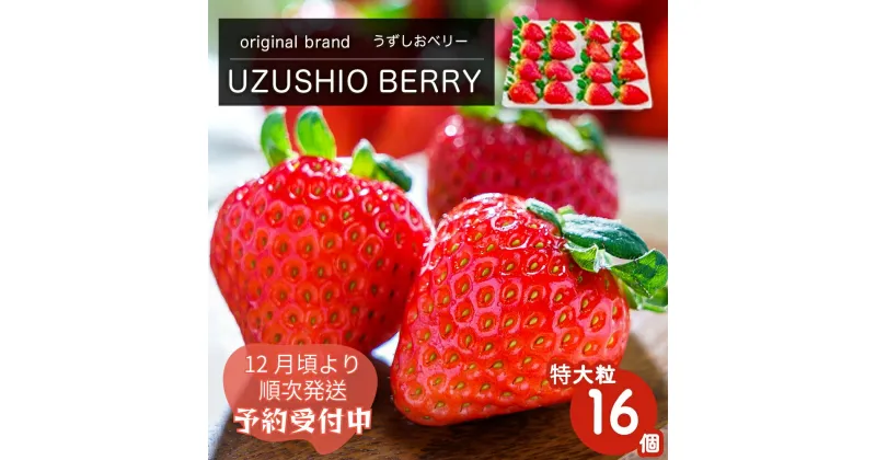 【ふるさと納税】【 予約受付中・2024年12月頃より順次発送 】 フルーツガーデンやまがたのいちご「うずしおベリー」約750g 特大粒 16個 苺 いちご イチゴ 紅ほっぺ 果物 フルーツ 送料無料 徳島 鳴門 農家直送 ギフト 甘い 旬 数量限定