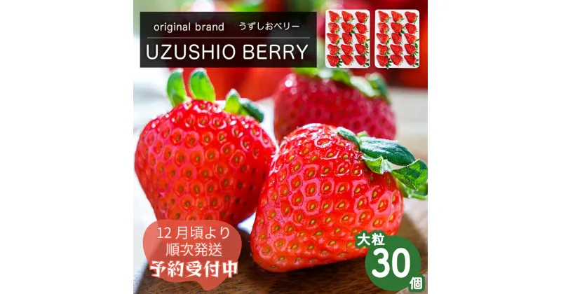 【ふるさと納税】【 予約受付中・2024年12月頃より順次発送 】フルーツガーデンやまがたのいちご「うずしおベリー」約900g 大粒 30個 苺 いちご イチゴ 紅ほっぺ 果物 フルーツ 送料無料 徳島 鳴門 農家直送 ギフト 甘い 旬 数量限定