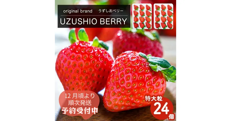 【ふるさと納税】【 予約受付中・2024年12月頃より順次発送 】フルーツガーデンやまがたのいちご「うずしおベリー」約900g 特大粒24個 苺 いちご イチゴ 紅ほっぺ 果物 フルーツ 送料無料 徳島 鳴門 農家直送 ギフト 甘い 旬 数量限定