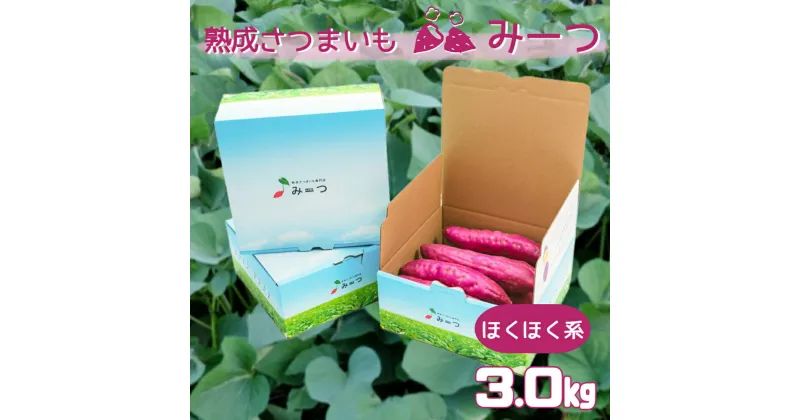 【ふるさと納税】 熟成さつまいも みーつ 3.0kg（ ほくほく系 ）｜ なると金時 鳴門金時 甘い ホクホク 国産 熟成 産地直送 スイーツ 焼き芋 焼芋 焼きいも スイートポテト おやつ 天ぷら 干し芋 ギフト お土産 おみやげ