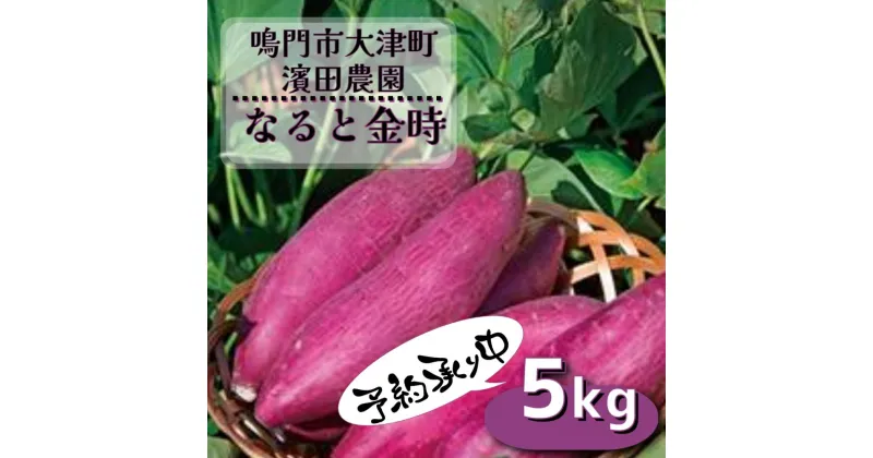 【ふるさと納税】 ＜ 訳あり ・ 不揃い ＞ 濱田農園 なると金時 サイズ混合 約5kg 【 数量限定 】【 予約受付中・2024年12月頃より順次発送 】 ｜ 鳴門金時 甘い ホクホク 国産 鳴門 産地直送 スイーツ おやつ 焼き芋 焼芋 焼きいも 天ぷら 干し芋 スイートポテト 離乳食