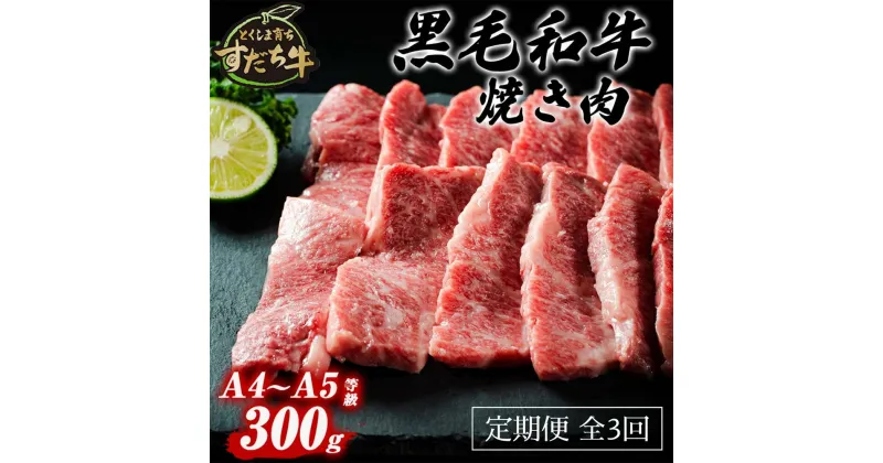 【ふるさと納税】定期便 3回お届け すだち牛黒毛和牛（焼肉用）300g