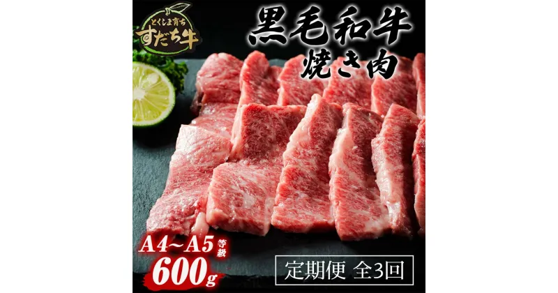 【ふるさと納税】定期便 3回お届け すだち牛 黒毛和牛 （焼肉用） 600g