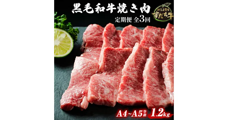 【ふるさと納税】定期便 3回お届け すだち牛 黒毛和牛 （ 焼肉用 ） 1.2kg