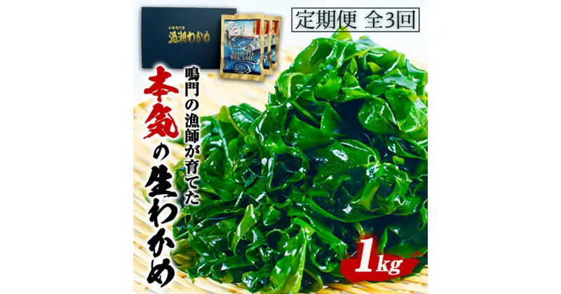 【ふるさと納税】定期便 3回 お届け 生わかめ 1kg （100g×10袋）