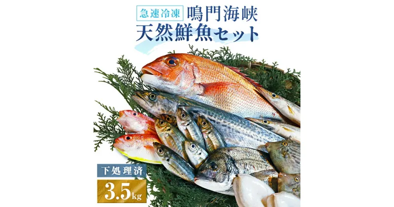 【ふるさと納税】 訳あり 鮮魚セット 3.5kg （ 4〜5種 ） 【 数量限定 】 ｜ 魚 魚介類 水産加工品 鯛 タイ わかめ 海藻 カワハギ わけあり 人気 ランキング お得 冷凍 海鮮 詰め合わせ 詰合せ セット お楽しみ おすすめ 下処理 小分け 簡単調理 手軽 徳島 鳴門 産地直送