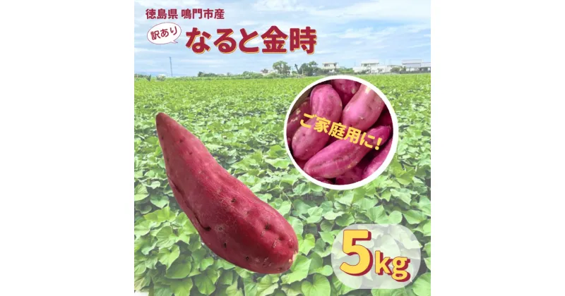 【ふるさと納税】 本場・徳島県鳴門市産「ご家庭用 ( 訳あり ) なると金時 」約5kg【数量限定】なると金時 ほくほく 甘い 熟成 国産 産地直送 スイーツ おやつ 天ぷら 干し芋 ギフト