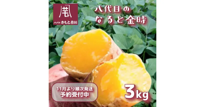 【ふるさと納税】 【木元農園】八代目の なると金時 約3kg ｜ 鳴門金時 甘い ホクホク 熟成 国産 鳴門 産地直送 スイーツ おやつ 焼き芋 焼芋 焼きいも 天ぷら 干し芋 スイートポテト 離乳食