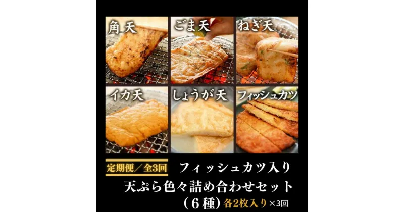 【ふるさと納税】 定期便 3回 練り物6 詰め合わせ 6種 セット おつまみ おやつ おかず 天ぷら 個包装 ソウルフード ご当地 グルメ 徳島県 料理