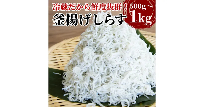 【ふるさと納税】 釜揚げ しらす 500g〜1kg 国産 徳島県産 和田島産 とれたて 新鮮 産地直送 天然 無添加 釜揚げ 釜揚げしらす 冷蔵 発送 小分け しらす ちりめん 魚介類 魚 小魚 海産物 ご飯 しらす丼 サラダ おかず グルメ 人気 おすすめ 【北海道・沖縄・離島配送不可】