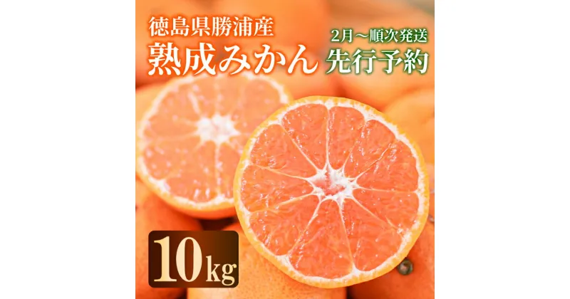 【ふるさと納税】 【先行予約】2025年2月発送 熟成 みかん 10kg 秀品 M~L 国産 徳島県 勝浦産 貯蔵 果物 フルーツ 柑橘 みかん 蜜柑 温州 人気 産地直送 数量限定 【北海道・東北・沖縄・離島配送不可】