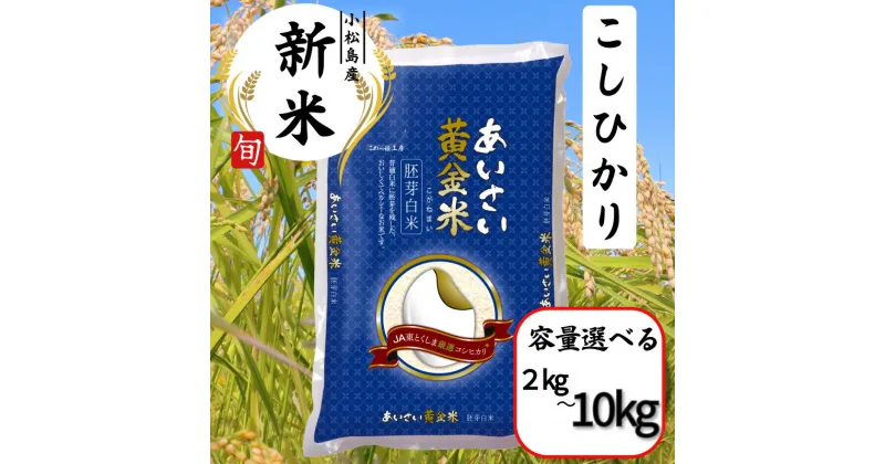 【ふるさと納税】 【選べる容量】 令和6年産 新米 あいさい黄金米 2kg〜10Kg 胚芽白米 徳島県 コシヒカリ お米 こめ おこめ こしひかり 白米 精米 国産 ごはん 2kg 5kg 6kg 10kg