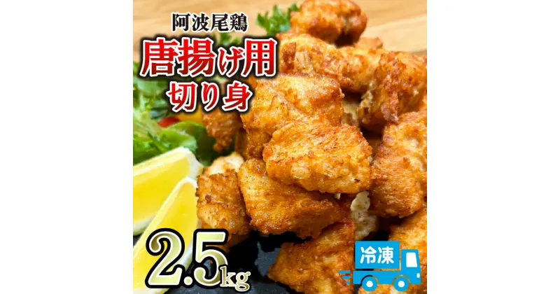 【ふるさと納税】 唐揚げ 2.5kg 500g×5パック 冷凍 国産徳島県 徳島地鶏 阿波尾鶏 むね肉 家庭用 おかず おつまみ