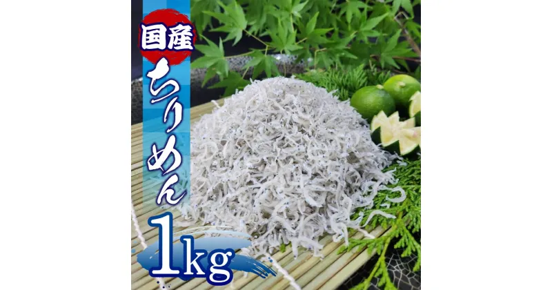 【ふるさと納税】 ちりめん 1kg 冷蔵 国産 徳島県産 新鮮 鮮度 しらす 魚 魚介類 小魚