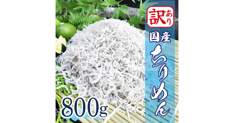 【ふるさと納税】 訳あり ちりめん 800g 冷蔵 国産 新鮮 鮮度 訳アリ 小分け しらす 魚 魚介類 小魚