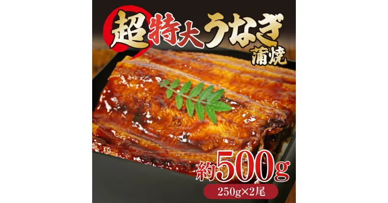 【ふるさと納税】 うなぎ 蒲焼き ( 特大 計500g 250g×2尾 ) ご飯にかける専用タレ付き！ 冷凍 | 夏 スタミナ うな重 うな丼 タレ 鰻 ウナギ うなぎの蒲焼