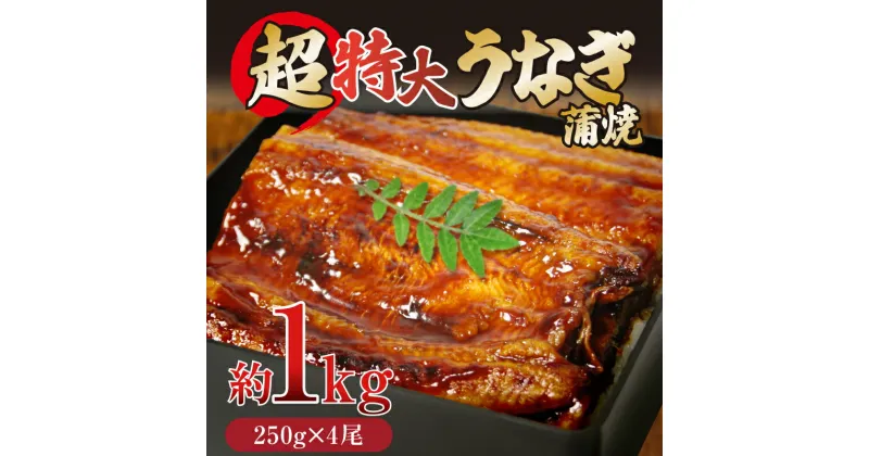 【ふるさと納税】 うなぎ 蒲焼き ( 特大 計1kg 250g×4尾 ) ご飯にかける専用タレ付き！ 冷凍 ｜ 夏 スタミナ うな重 うな丼 タレ 鰻 ウナギ うなぎ うなぎの蒲焼 人気