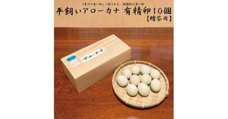 【ふるさと納税】 徳島県産 卵 10個 卵 鶏 アローカナ 鶏卵 最強のTKG高級 しあわせの青い卵 平飼い 採れたて 希少 国産 たまご 卵 タマゴ 玉子 エッグ 卵かけご飯TKG ゆで卵 卵焼き オムライス オムレツ 料理 鶏 ニワトリ 人気 こだわり 四国 徳島 【送料無料】