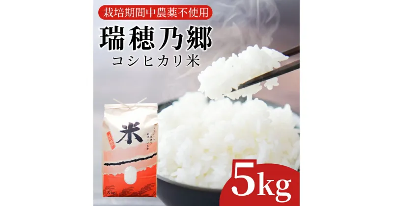 【ふるさと納税】 【2週間発送】 米 コシヒカリ 5kg 令和5年産 瑞穂乃郷コシヒカリ米 栽培期間中農薬不使用 四国 徳島県 小松島 白米 ふるさと納税 精米 白米 おいしい こめ おこめ ごはん 国産 ランキング 人気 おにぎり 卵かけご飯 ふりかけ ご飯 海苔 鮭 朝ご飯