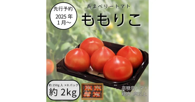 【ふるさと納税】 【先行予約】 2025年1月〜5月発送 ももりこトマト 約 2kg (約250g×8パック) フルーツ トマト 赤 糖度 8以上 甘い 野菜 夏野菜 新鮮 鮮度 抜群 大玉トマト 完熟トマト 人気 リコピン 徳島 小松島 ジュース パスタ トマトジュース ジャム 健康食品 美肌 美容