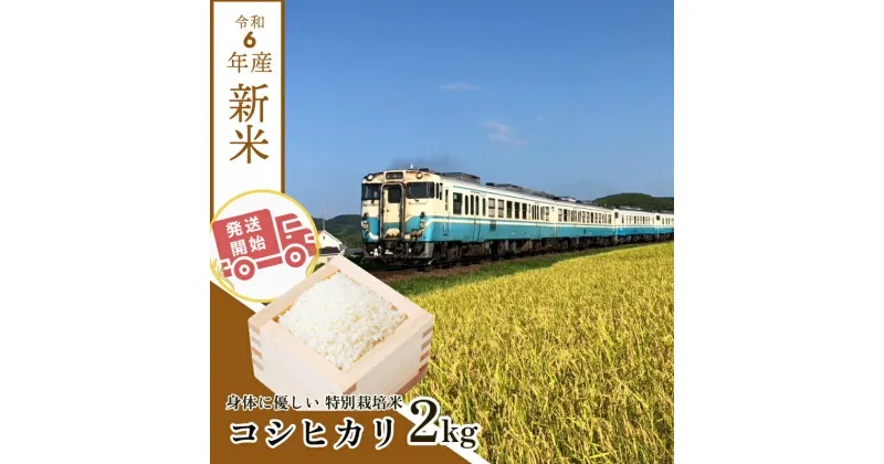 【ふるさと納税】 【2週間発送】令和6年産 新米 白米 コシヒカリ 2kg 特別栽培米 | 9月 10月 発送 指定日可 着日 指定 | 健康 安心 安全 | お試し 少量 小分け | 四国 徳島 小松島 | 米 おいしい kome お米 こめ おこめ こしひかり 精米 国産 ごはん ご飯 白飯 ゴハン