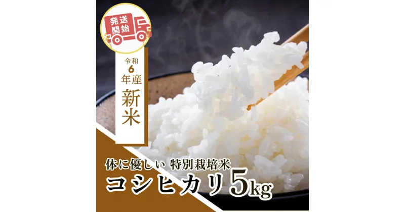 【ふるさと納税】 【2週間発送】令和6年産 新米 白米 コシヒカリ 5kg 特別栽培米 | 9月 10月 発送 指定日可 着日 指定 | 栽培期間 減農薬 減化学肥料 | お試し 少量 小分け | 四国 徳島 小松島 | 米 おいしい kome お米 こめ おこめ こしひかり 精米 国産 ごはん ご飯 白飯