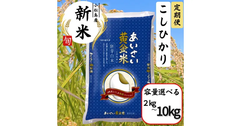 【ふるさと納税】 【選べる定期便】 令和6年産 新米 定期便 あいさい黄金米 2kg〜10Kg 胚芽白米 徳島県 コシヒカリ お米 こめ おこめ こしひかり 白米 精米 国産 ごはん 12kg 18kg 30kg 40kg 120kg