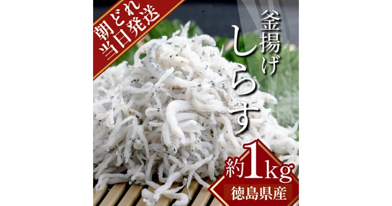 【ふるさと納税】 しらす 水揚げ当日ゆでたてを発送！ 冷蔵 1kg（500g×2パック）(ドサッと1kg) 瀬戸内海 四国 徳島 小松島 ｜ 水揚げ 釜揚げ 当日発送 ｜ 太平洋 瀬戸内海 結ぶ 紀伊水道 鳴門 海域 ｜ しらす丼 特産品 海産物 新鮮 惣菜 国産 鮮度 | 新米 白米 玄米 卵ご飯