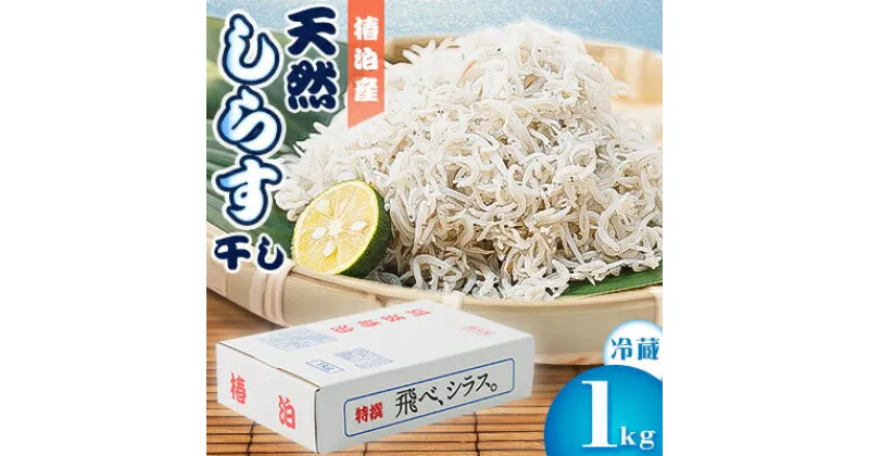 【ふるさと納税】【冷蔵】天然しらす干し1kg　おすそ分けに人気【配送不可地域：離島】【1386282】