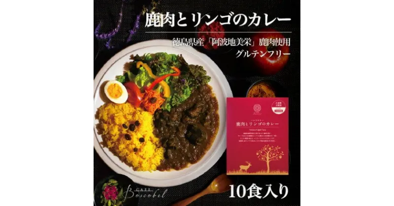 【ふるさと納税】阿波地美栄　鹿肉とリンゴのカレー(10食)【1501158】