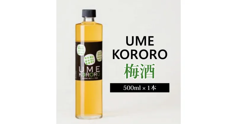 【ふるさと納税】 梅酒 ウメココロ 500ml 1本 梅 うめ 果物 フルーツ うめしゅ 酒 果実酒 さけ ビール ハイボール チューハイ 焼酎 日本酒 ウイスキー ワイン ギフト 贈答 プレゼント お取り寄せ グルメ 送料無料 徳島県 吉野川市