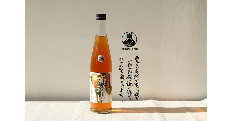 【ふるさと納税】 梅酒 高越山 500ml 1本 鶯宿梅 梅 うめ 果物 フルーツ 梅酒 うめしゅ 酒 果実酒 さけ ビール ハイボール チューハイ 日本酒 ウイスキー ワイン ギフト 贈答 プレゼント お取り寄せ グルメ 送料無料 徳島県 吉野川市