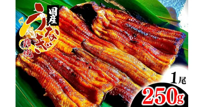 【ふるさと納税】 うなぎ 鰻 蒲焼 選べる 1尾 2尾 たれ付き 炭火焼き 土用の丑 丑の日 簡単調理 うな重 うな丼 ひつまぶし ギフト 贈り物 贈答 国産 送料無料 吉野川市 徳島県