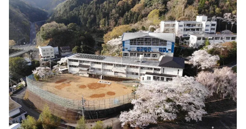 【ふるさと納税】 宿泊券 素泊まり ペアチケット 小学校 ピザ 梅酒 体験 旅行 旅館 ホテル 旅 ツアー 宿泊 観光 桜 吉野川市 徳島県