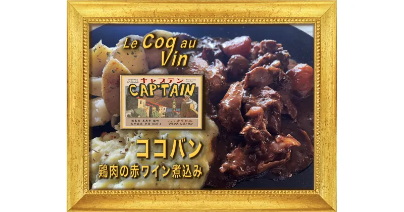 【ふるさと納税】 鶏肉 ワイン 赤ワイン マリネ スパイス パスタ 冷凍 フランス料理 フレンチ 鶏肉の赤ワイン煮込み コッコヴァン 鶏肉のスパイス煮込み プレデカライブ