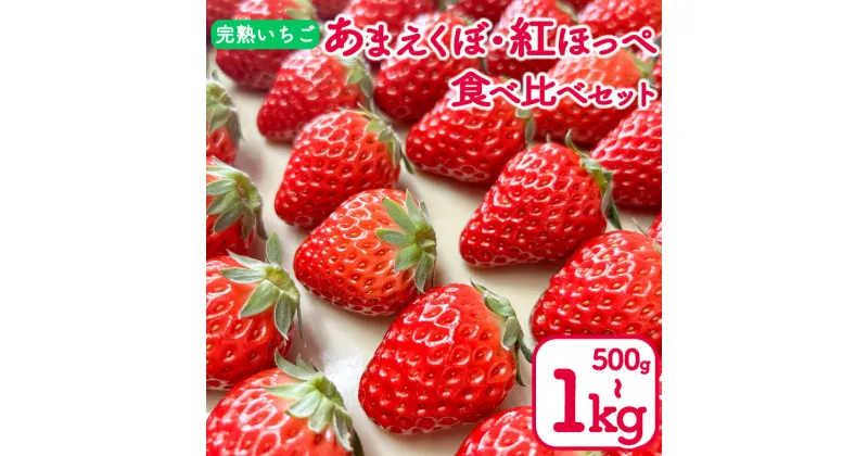 【ふるさと納税】 いちご 500g 1kg 紅ほっぺ あまえくぼ 食べ比べ セット ( 2025年 1月 以降 発送予定 ) 2パック 4パック 朝採れ 期間限定 人気 果物 フルーツ 新鮮 旬 冬 春 ケーキ ギフト 贈り物 贈答 イチゴ 苺 ストロベリー 徳島県 吉野川市 あんいちご園