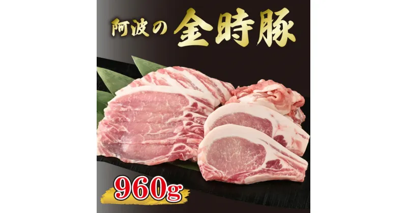 【ふるさと納税】 金時豚 豚肉 4種セット 約960g 切り落とし ロース とんかつ バラ ロース 焼肉 ぶたにく 豚 ぶた 肉 にく ポーク ブランド 高級 冷凍 真空パック 小分け BBQ おかず おつまみ 惣菜 弁当 日用 ギフト 贈答 プレゼント お取り寄せ グルメ 送料無料