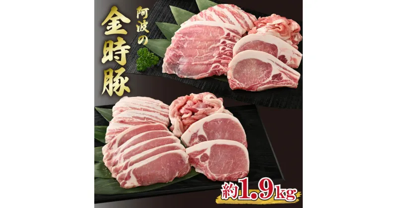 【ふるさと納税】 金時豚 豚肉 4種セット 約1.9kg 切り落とし ロース とんかつ バラ ロース 焼肉 ぶたにく 豚 ぶた 肉 にく ポーク ブランド 高級 冷凍 真空パック 小分け BBQ 焼肉 おかず おつまみ 惣菜 弁当 日用 ギフト 贈答 プレゼント お取り寄せ グルメ 送料無料