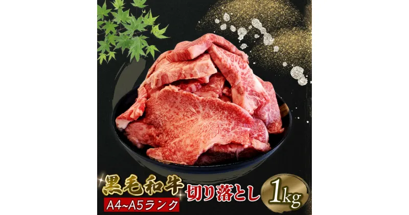 【ふるさと納税】 黒毛和牛 切り落とし 1kg A5等級 阿波華牛 和牛 牛肉 ぎゅうにく 牛 ぎゅう うし 肉 ビーフ 赤身 ロース 肩 モモ すき焼き すきやき しゃぶしゃぶ 焼肉 BBQ アウトドア キャンプ お取り寄せ グルメ おかず 惣菜 おつまみ 弁当 日用 冷凍 小分け 送料無料