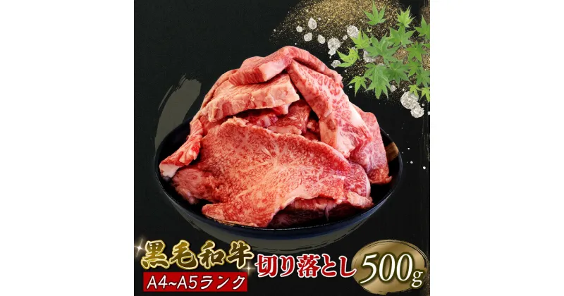 【ふるさと納税】 黒毛和牛 切り落とし 500g A5等級 阿波華牛 和牛 牛肉 ぎゅうにく 牛 ぎゅう うし 肉 ビーフ 赤身 ロース 肩 モモ すき焼き すきやき しゃぶしゃぶ 焼肉 BBQ アウトドア キャンプ お取り寄せ グルメ おかず 惣菜 おつまみ 弁当 日用 冷凍 小分け 送料無料