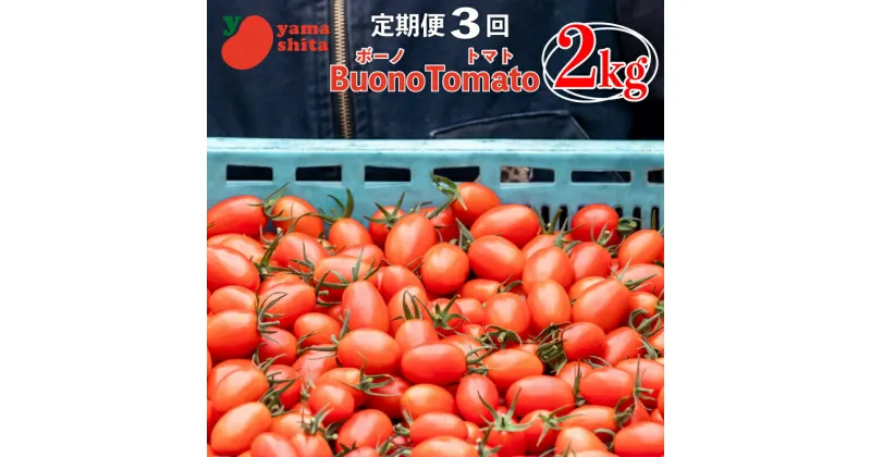 【ふるさと納税】 ミニトマト 定期便 2kg 3回 トマト アイコ フルーツトマト ボーノトマト 野菜 サラダ 産地直送 生産者直送 農家直送 先行予約 徳島県 阿波市