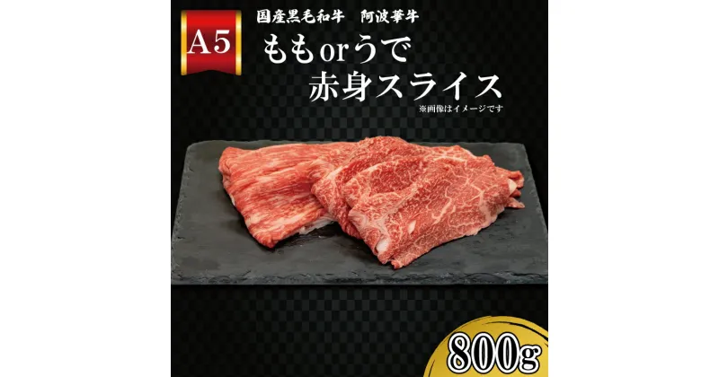 【ふるさと納税】 黒毛和牛 800g モモ ウデ おまかせ A5等級 阿波華牛 和牛 牛肉 ぎゅうにく 牛 ぎゅう うし 肉 ビーフ ロース すきやき しゃぶしゃぶ 焼肉 高級 BBQ アウトドア ギフト プレゼント 贈答 お取り寄せ グルメ おかず 惣菜 おつまみ 日用 冷凍 小分け 送料無料