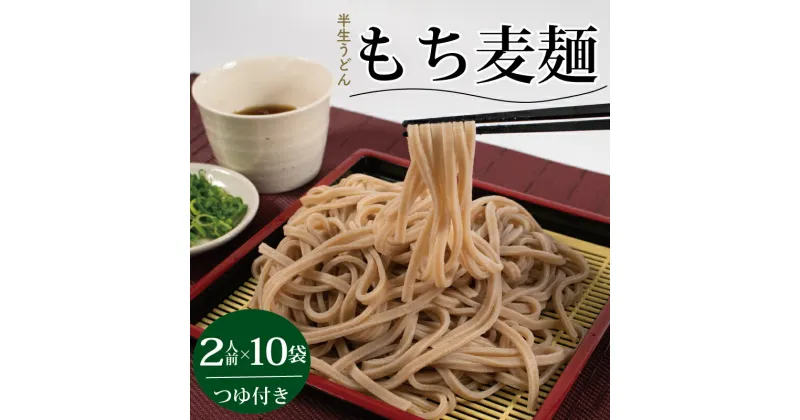 【ふるさと納税】 麺 もち麦麺 10PC もち麦 阿波市 徳島県