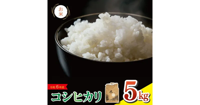 【ふるさと納税】 米 5kg 令和6年度産 コシヒカリ こしひかり 精米済み 無洗米 ご飯 ごはん 白米 玄米 米5kg 5キロ こめ お米 おにぎり 産地直送 阿波市 徳島県 福井園芸