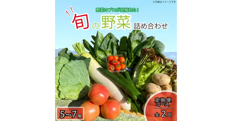 【ふるさと納税】 野菜 5~7品目 年2回 定期便 詰め合わせ セット 旬 新鮮 季節の野菜 なすび ブロッコリー キャベツ 白菜 レタス サニーレタス ほうれん草 きゅうり ピーマン とうもろこし トマト ミニトマト 大根 絹さや インゲン豆 玉ねぎ じゃがいも すだち 阿波市 徳島県