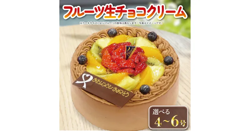 【ふるさと納税】チョコクリーム フルーツケーキ 4号 ~ 6号 冷凍 洋菓子 デザート スイーツ チョコ お菓子 おやつ 果物 フルーツ いちご キウイ オレンジ ブルーベリー 卵 たまご 誕生日 記念日 結婚記念日 ギフト プレゼント 贈答 送料無料 徳島県 阿波市 CAKE EXPRESS