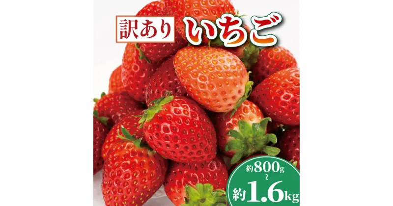 【ふるさと納税】 先行予約 訳あり いちご よつぼし 800g～1.6kg 選べる容量 果物 フルーツ 苺 ストロベリー ケーキ アイス シャーベット ジェラート ゼリー ジュース ジャム スムージー 洋菓子 和菓子 おやつ 不揃い 規格外 人気 オススメ お取り寄せ グルメ 送料無料