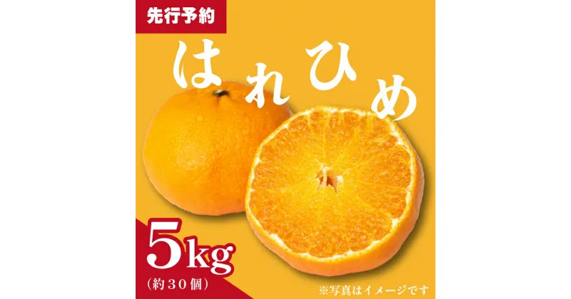 【ふるさと納税】 みかん 柑橘 オレンジ はれひめ 5kg フルーツ 果物 ブランド 晴れ姫 プレゼント 贈り物 ビタミン 甘い 美味しい 先行予約 徳島県 阿波市